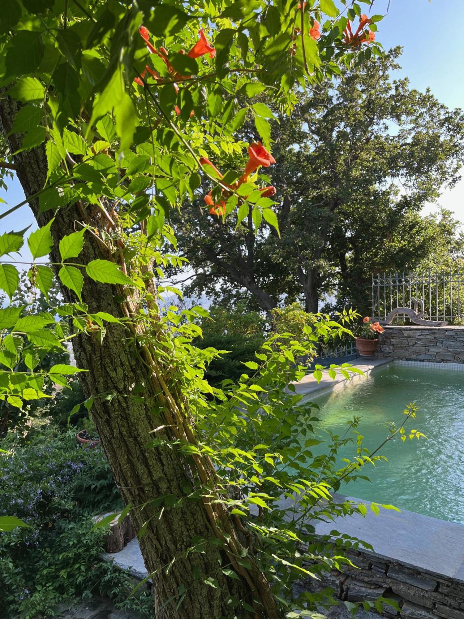 Villa Kasteli - Secret Beauty In The Mountains Каристос Экстерьер фото